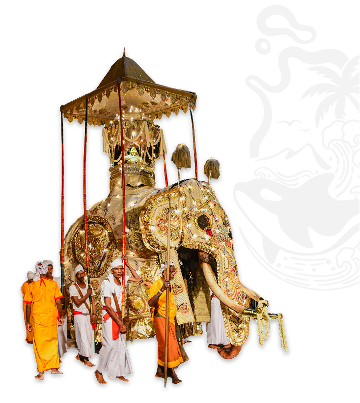 Sri Lanka Cultural Procession